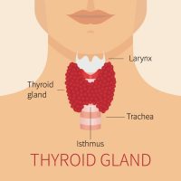 What Are the Symptoms of an Abnormal Thyroid? - Vitality Medical ...