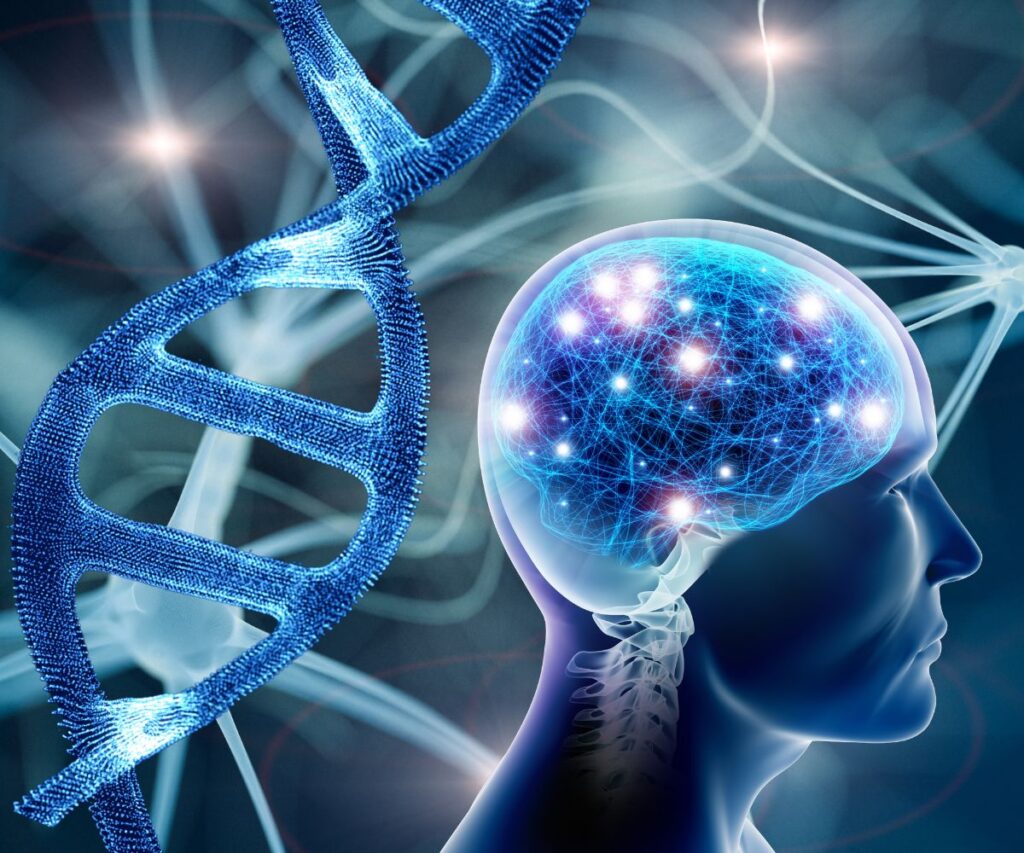 Understanding MTHFR Gene Mutations